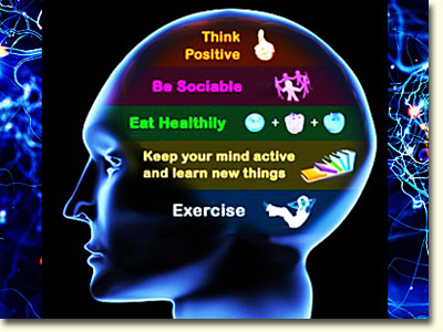 Keener Intelligence - Cortisol and Brain Health