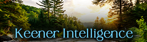 KKeener Intelligence - Understanding the A.Q. Initiative
