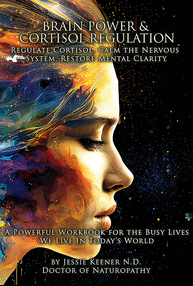 Book cover: Brain Power and Cortisol Regulation Workbook