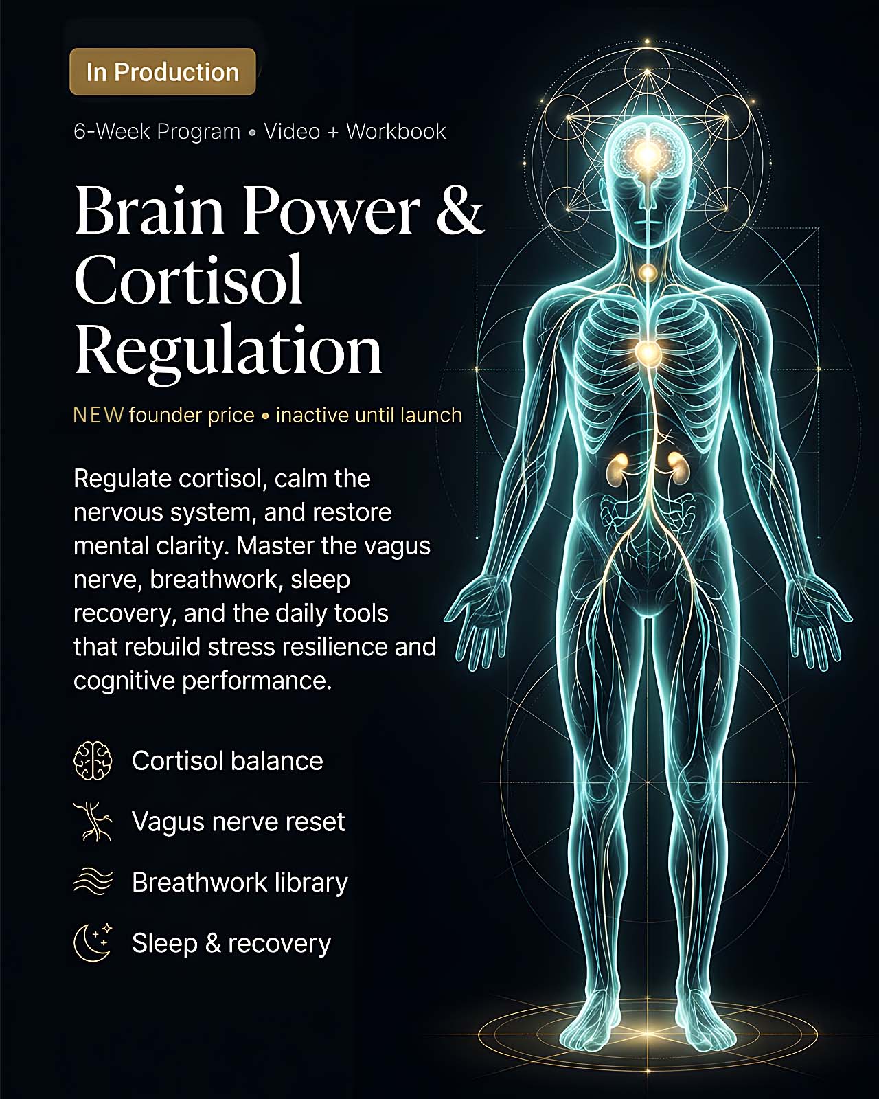 Brain Power and Cortisol Regulation course cover
